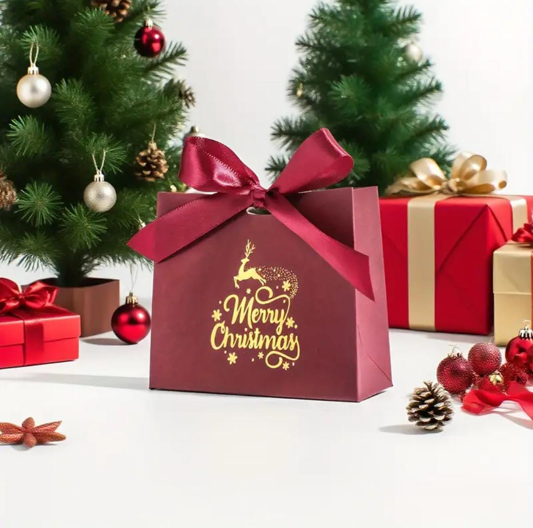 Bolsita de Regalo Navideña 🎁🎄🎅🏻