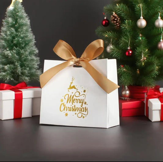 Bolsita de Regalo Navideña 🎁🎄🎅🏻